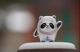 “冰墩墩”、、“雪容融”商标也抢手，，已被成功注册！！！！